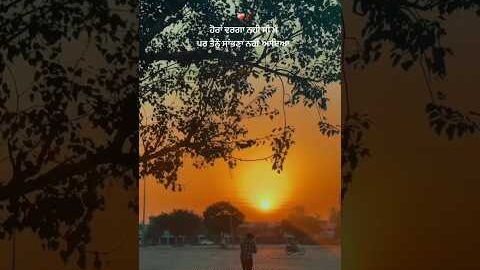RANG SANWLA SONG 🌸 | NEW PUNJABI SHORT VIDEOS | PUNJABI SHORT | SAD VIDEOS | Yuvi_xtweetz | #love