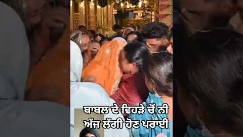 ਬਾਬਲ ਦੇ ਵਿਹੜੇ ਚੋਂ Punjabi song #new #love #trending #song #wedding #shorts