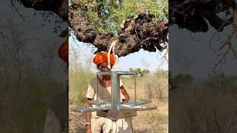 पक्षियों के लिए छोटी सी सेवा 😍 #villagelife #rajasthani #desi #culture