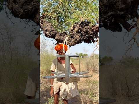 पक्षियों के लिए छोटी सी सेवा 😍 #villagelife #rajasthani #desi #culture
