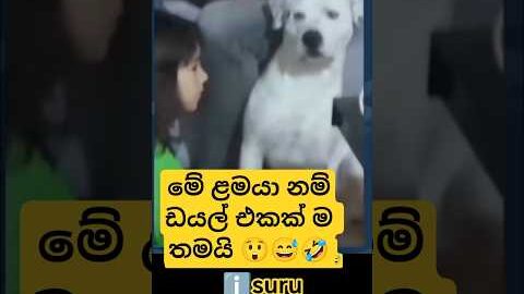 real thug life 😅 #funny #comedy #trending #viral #youtubeshorts #shortvideo #viralvideo #yt #tiktok