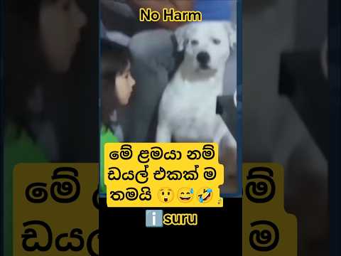 real thug life 😅 #funny #comedy #trending #viral #youtubeshorts #shortvideo #viralvideo #yt #tiktok