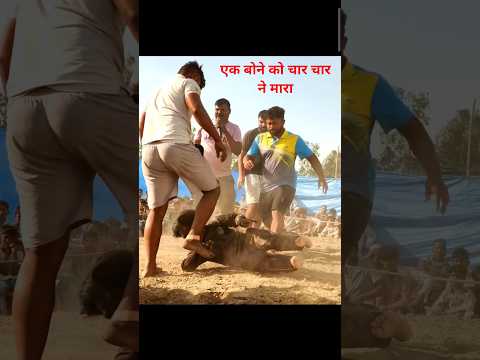 दुनिया दी ठा ठा #kushtidangal #dangal #kushtitime #rightdangal #दंगल2 #wrestling #desi #fakirbaba