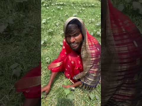 फूटै वाली ककरी😅😅#shortsfeed #comedy #desi #youtubeshorts #shorts #feed #feedshorts #real