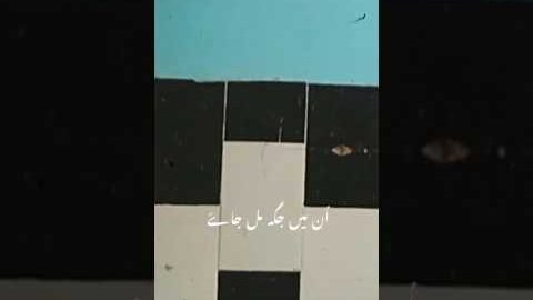 یاعلی۴ کاش میرا عشق اثر دکھلائے #reels #status #love #shortvideo #video #viral #shorts #like
