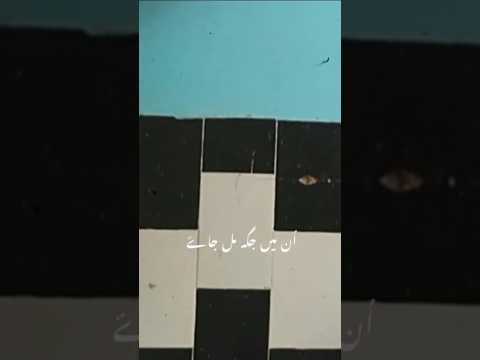 یاعلی۴ کاش میرا عشق اثر دکھلائے #reels #status #love #shortvideo #video #viral #shorts #like