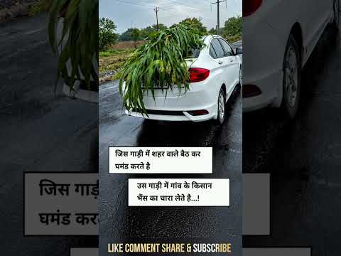 गांव वाले & शहर वाले 😱 #villagelife #city #car #buffalo #desi #farming