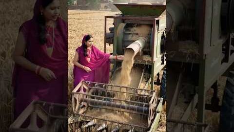 गेहूं काटना और गेहूं निकालना दोनों एक मशीन से | Desi Innovation | Desi Jugaad | #ai #youtubeshorts