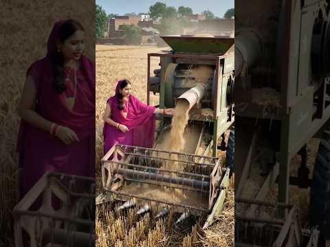 गेहूं काटना और गेहूं निकालना दोनों एक मशीन से | Desi Innovation | Desi Jugaad | #ai #youtubeshorts
