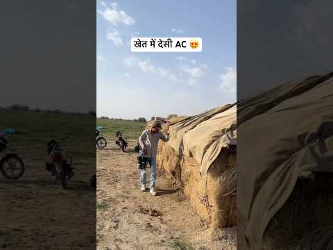 खेत में देसी AC😍 #desiac #desertlife #marwadilife #rajasthan #youtubefeed #gaon #desi #villagelife