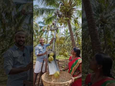 desi jugaad se nariyal todna#desi £#farming #shortvideo