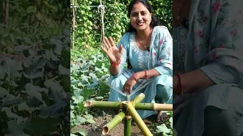 kheton mein pani dene ka desi jugaad ☘️☘️☘️💦💦💦#paani #desi #jugaad #kheti