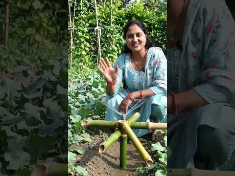 kheton mein pani dene ka desi jugaad ☘️☘️☘️💦💦💦#paani #desi #jugaad #kheti