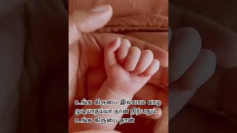 எல்லாம் நீரே ஆண்டவரே #shorts #viral #trend #tamilchristian #jesustamil #christiansongs #christian