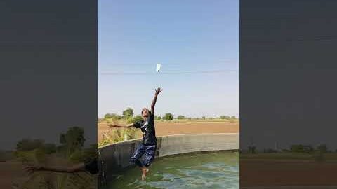 Mobile Panime Khogaya 😭🥹 #nanjisetaniya #shorts #viral #cat #funny #desi #farming #reels #nature