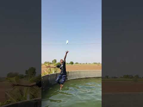 Mobile Panime Khogaya 😭🥹 #nanjisetaniya #shorts #viral #cat #funny #desi #farming #reels #nature