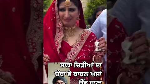 ਬਾਬਲ ਤੂੰ ਦੂਰ ਕਿਉਂ ਖੜੇ ਆ punjabi song #new #love #punjabi song #punjabi gane #trending #shorts me 🌸😍🌼