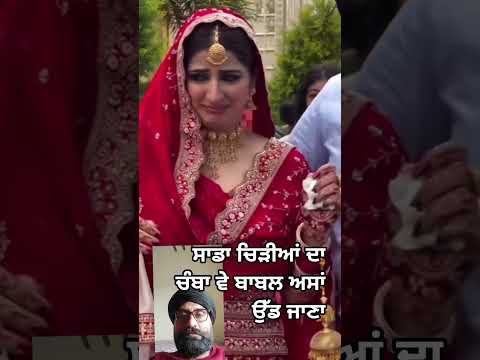 ਬਾਬਲ ਤੂੰ ਦੂਰ ਕਿਉਂ ਖੜੇ ਆ punjabi song #new #love #punjabi song #punjabi gane #trending #shorts me 🌸😍🌼