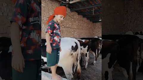 GG (Official Video) Gulab Sidhu | Jang Dhillon | Latest Punjabi Song 2026 | New Punjabi Song 2026