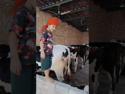 GG (Official Video) Gulab Sidhu | Jang Dhillon | Latest Punjabi Song 2026 | New Punjabi Song 2026