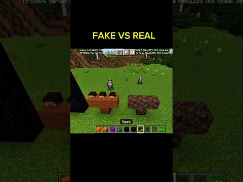 MINECRAFT FAKE VS REAL π #viral #trending #minecraft #shorts