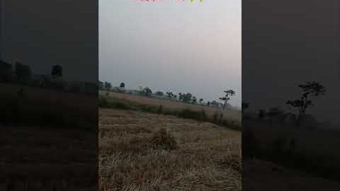 |video|#edit#viral#try#status #shorts#new #bhojpuri #khesari #bollywood #hindi#news#viralshorts