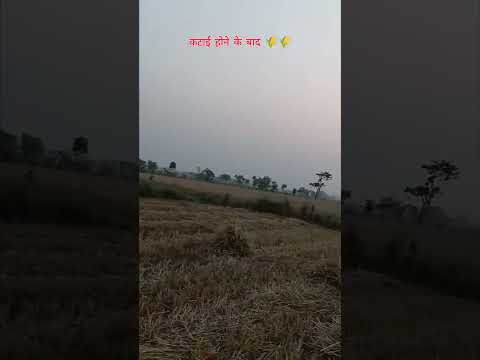 |video|#edit#viral#try#status #shorts#new #bhojpuri #khesari #bollywood #hindi#news#viralshorts