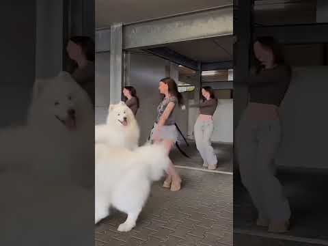 #trendingtiktoksong #unitedstates #viraltiktok