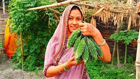देसी करेले की झाड़ से इतना सारा करेला पहली बार निकाला | desi karele se anokhi bharva ki recipe