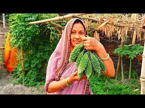 देसी करेले की झाड़ से इतना सारा करेला पहली बार निकाला | desi karele se anokhi bharva ki recipe