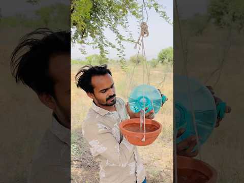 तपती गर्मी में पक्षियों के लिए दाना पानी 😍#ytshorts #shorts #desi #culture #viralshorts