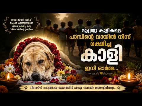 സ്വന്തം ജീവൻ നൽകി കുട്ടികളെ രക്ഷിച്ച നായ 🥺 Odisha Hero Dog Story