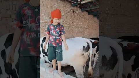 REAL STRUGGLE (Official Music Video) | Dharampreet & Kuldeep Rasila | New Punjabi Song 2026