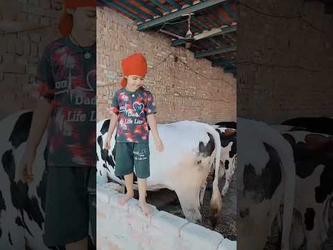 REAL STRUGGLE (Official Music Video) | Dharampreet & Kuldeep Rasila | New Punjabi Song 2026