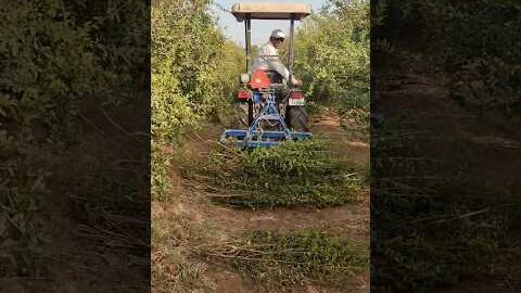 Amazing Desi Jugaad by Farming #Desi #Jugaad #Jugad #Farming #Kheti #Khetibadi #Agriculture #Tractor