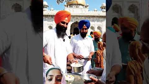 #sewa#waheguru#motivation#shorts#trending#youtubeshorts#ytshorts#song#reels#love#viral#like#short#yt