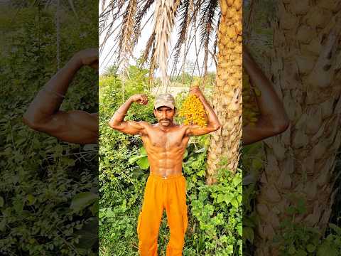 Desi life Desi Diet || #villagelife #desi #explore #shorts