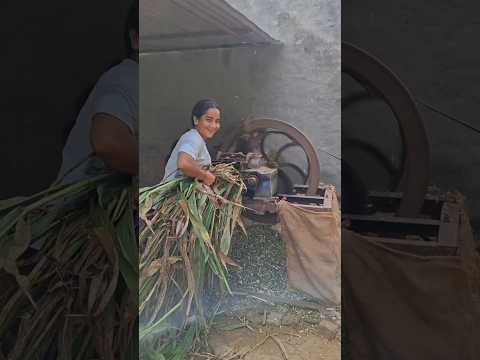 up ❤️🥰🫡🌾….#viral #desi #youtube #girl #trending #shorts #lifestyle #village #love #work #song