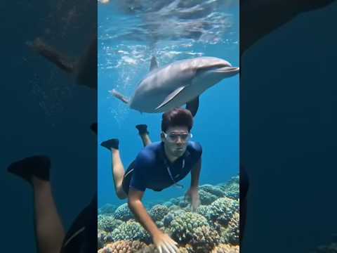 A dolphin subscribe me #trendingsong #tiltokviral #usashorts