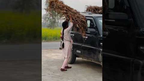 desi hun gawar nahin desi se panga #emostional #desi #gawar #shorts #ytshorts #trending