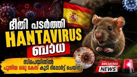 എലികളിൽ നിന്ന് പകരുന്ന അപകട വൈറസ് | Hantavirus Cases Rise To 13 | 3 Deaths Confirmed