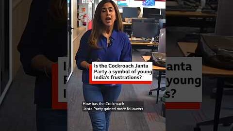 The Cockroach Janta Party : The new unusual mascot of Indian politics | BBC News India