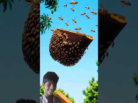 Allah Sab Dekh Raha Hi #emotional #prayer #viral #shorts