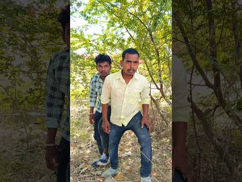 Desi Desi Na Bolya Kar Chori Re | New Punjabi Song#viral #foryou #shorts