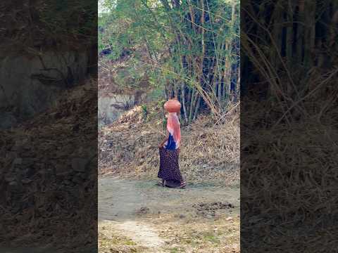 गाँव और सुकून 😍🛖 #desi #villagelife #rajasthani #culture #viralvideo