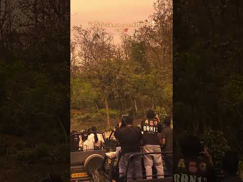 New Punjabi Song 2026 | Punjabi Song 2026 | Latest Punjabi Song 2026 | Latest Punjabi Song |