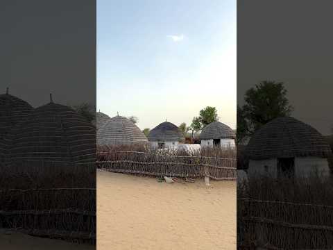 गाँव के सुंदर नज़ारे #rajasthani #village #old #culture #house #desi #life #style #shorts