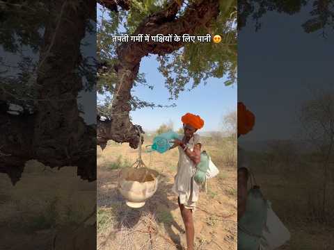 दादा जी का धर्मी जीवन 😍 #rajasthani #villagelife #desi #culture #shorts #subscribe