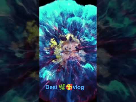 Teri jatti song aamy virk new punjabi song#vlag desi block 🌿