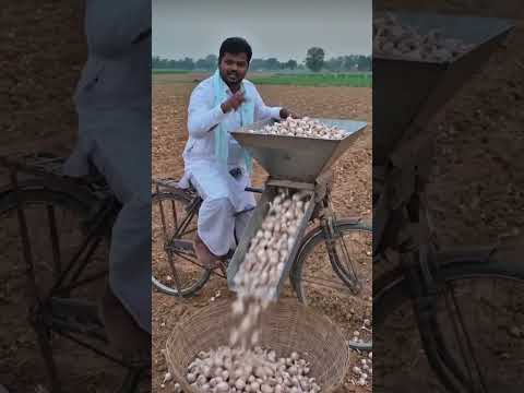 সাইকেলের দেশি মেশিনে রসুন পরিষ্কার#desi #shortvideo #farming #village